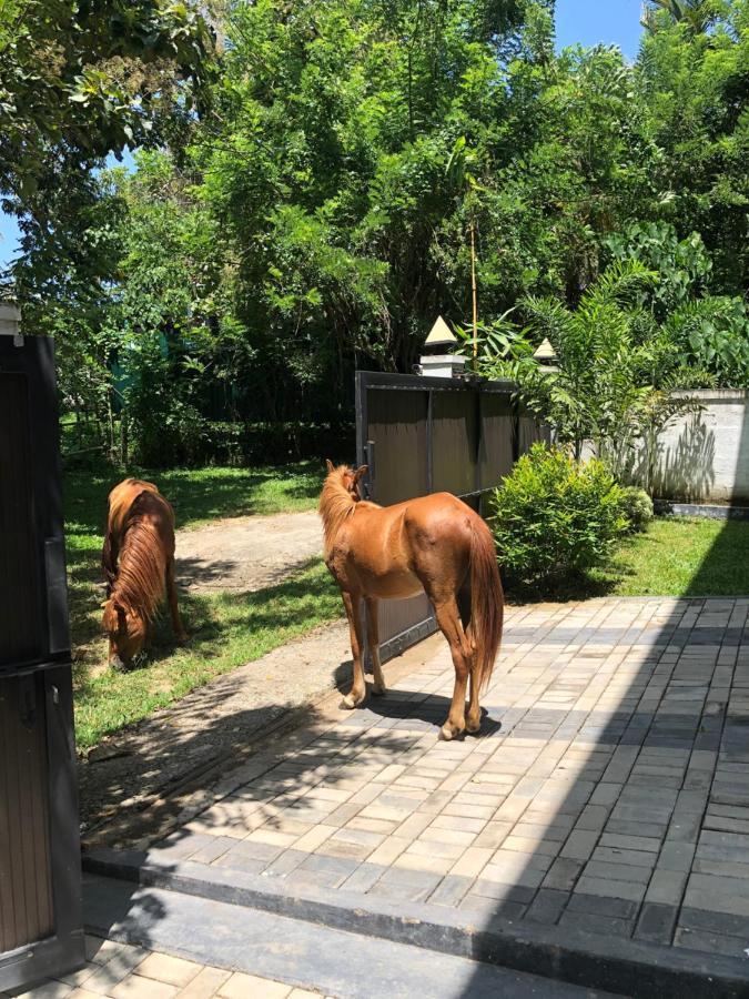 Lanka Villa Mirissa Zewnętrze zdjęcie