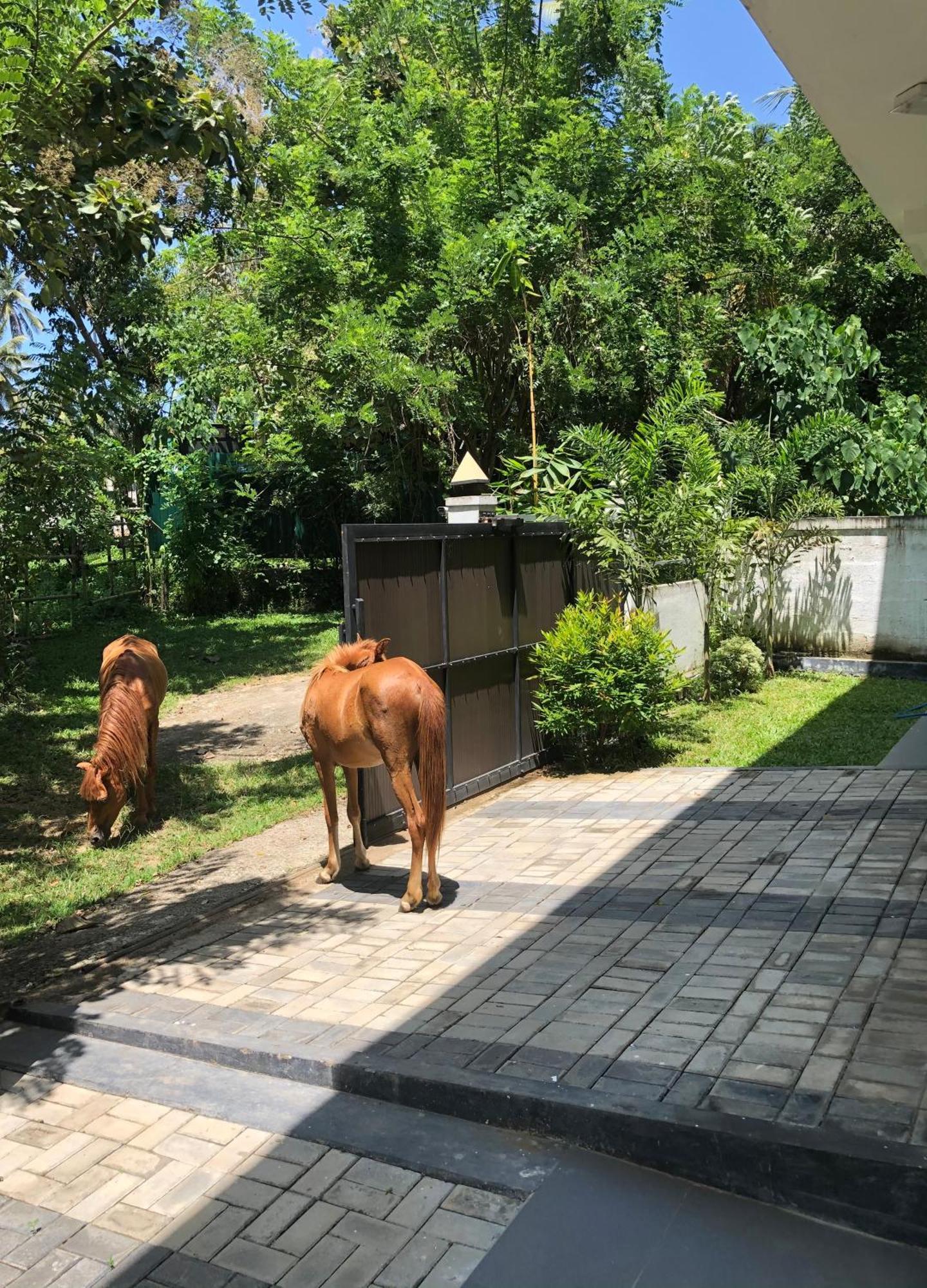 Lanka Villa Mirissa Zewnętrze zdjęcie